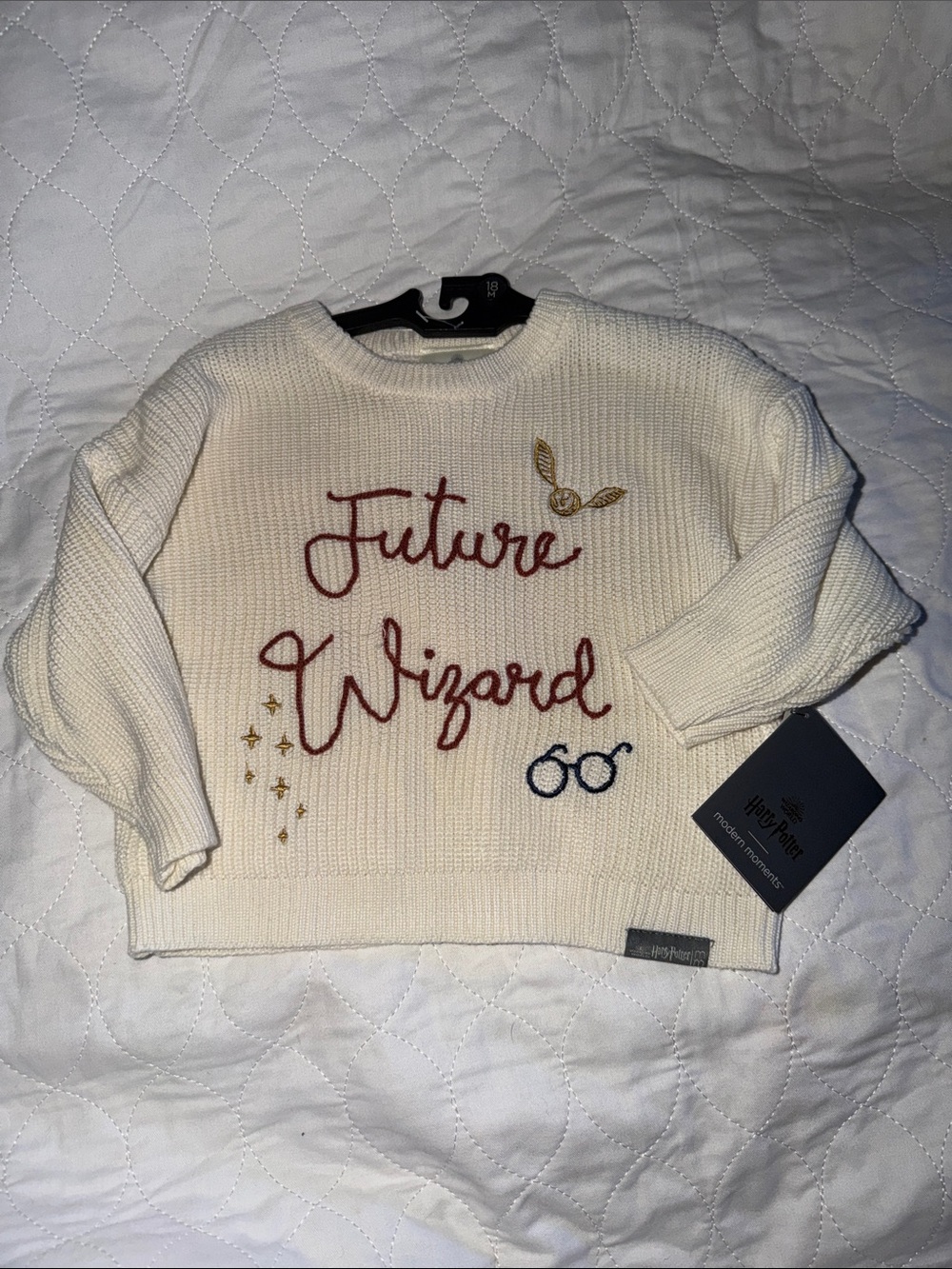 Harry Potter future wizard sweater